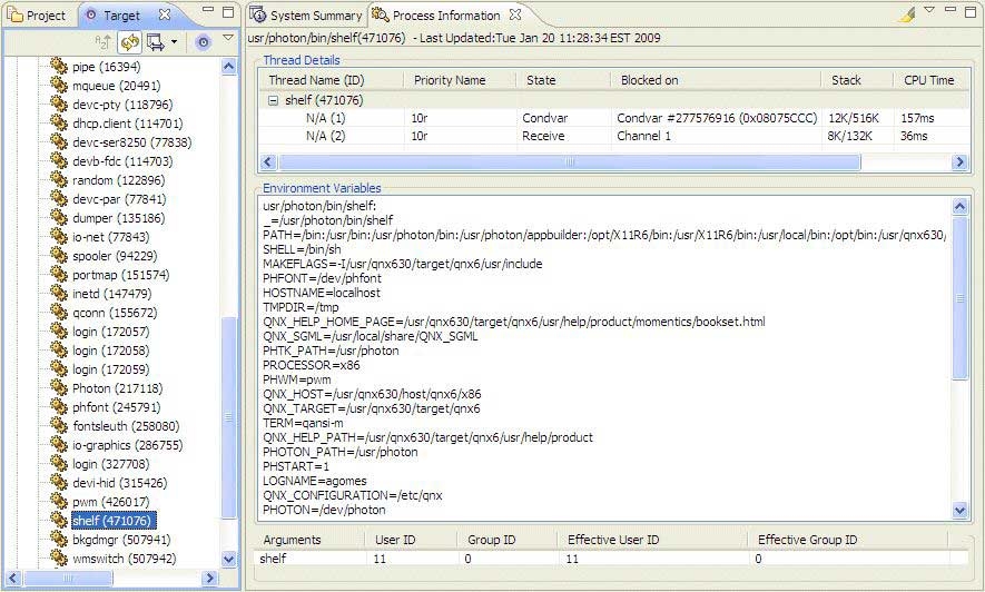 Process Information view